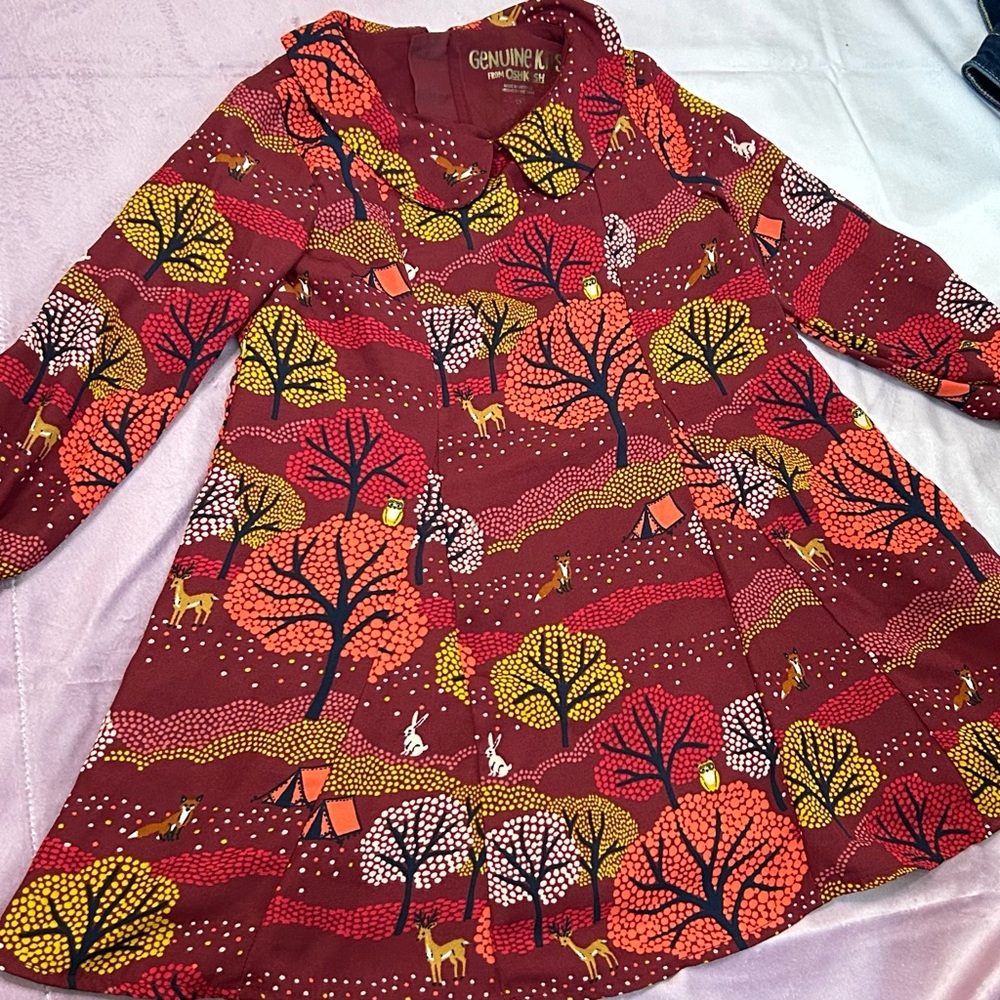 This item is in good condition 5T dress